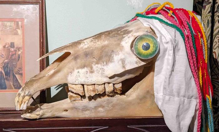 Mari Lwyd
